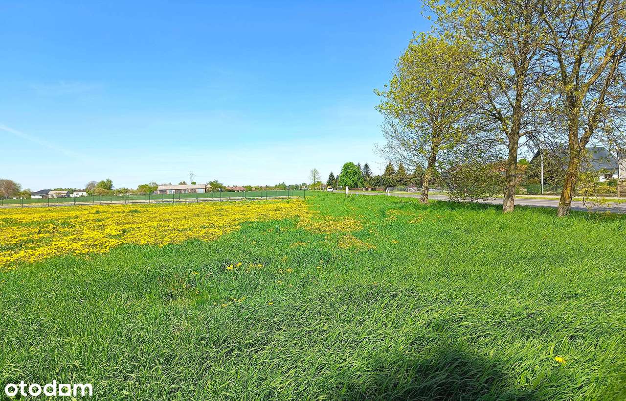 Działka Łapiguz Zamość - Pełny obrazek: 5/11