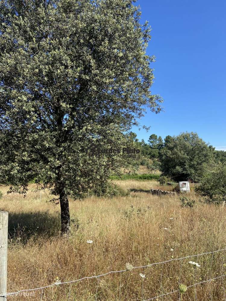 Quinta junto a ribeiro - Grande imagem: 5/10