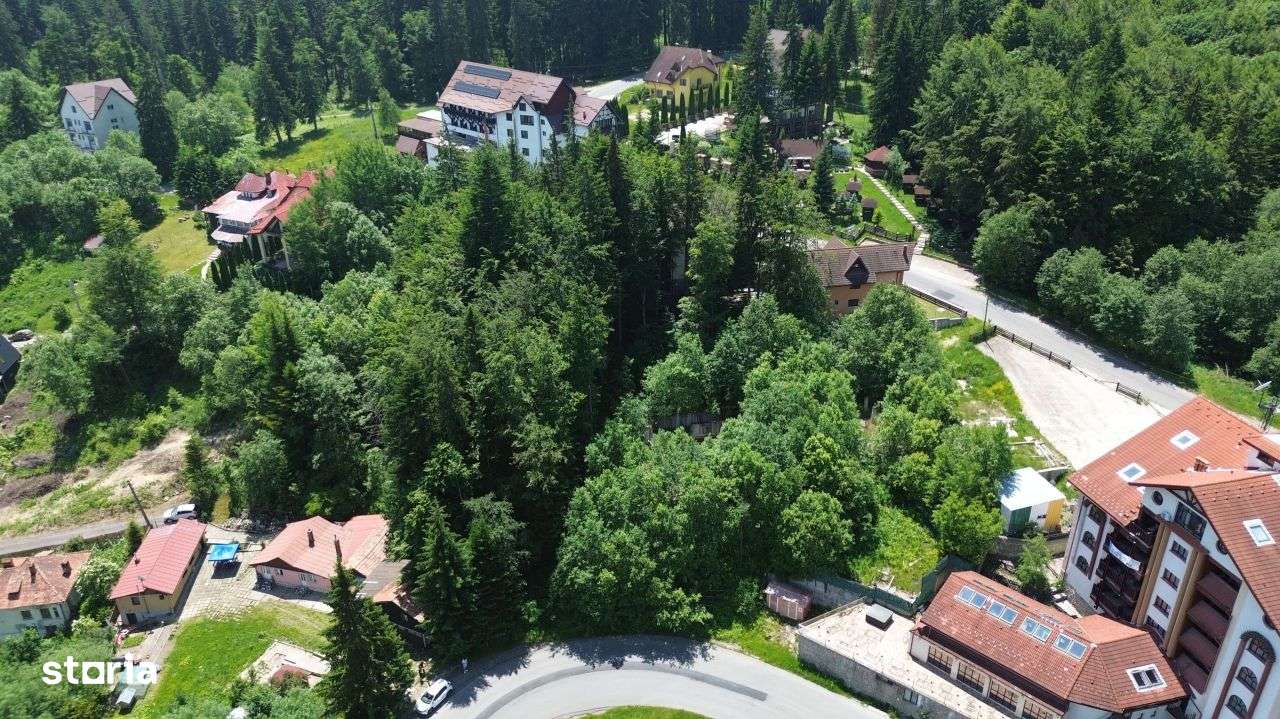 PREDEAL - Trei Brazi - Teren intravilan- 800 mp - Imagine principală: 2/20