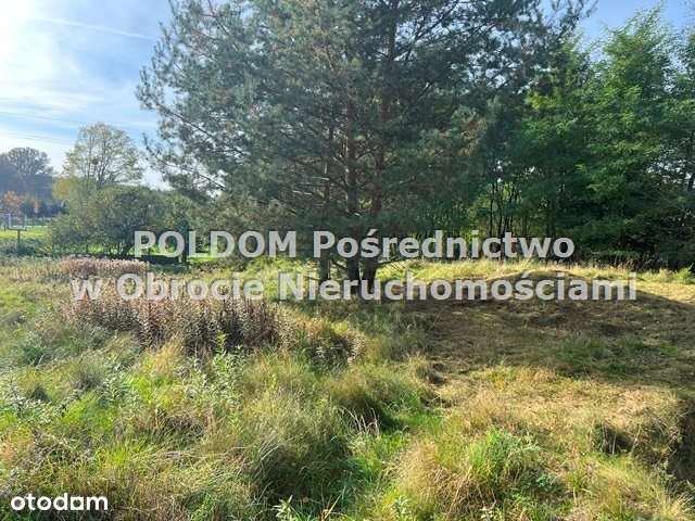 Działka budowlana 5747 m2/ Wilczyn k. Obornik Śl-7