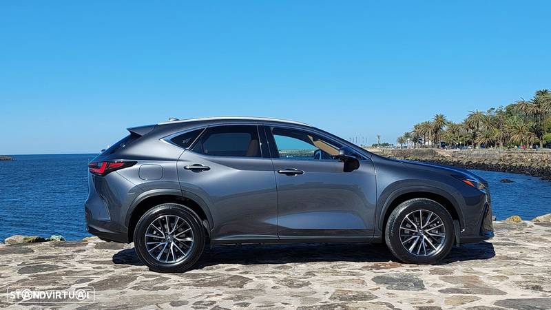 Lexus NX 450h+ Executive+ - 6