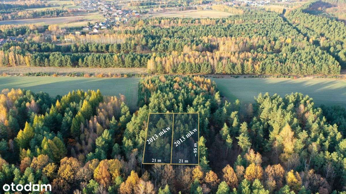 Działka budowlana w lesie - Pełny obrazek: 1/9