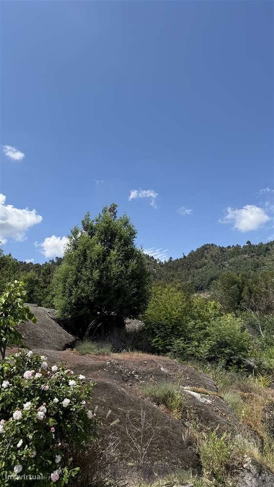 Moradia Isolada T3 Venda em Louriçal do Campo,Castelo Branco-32