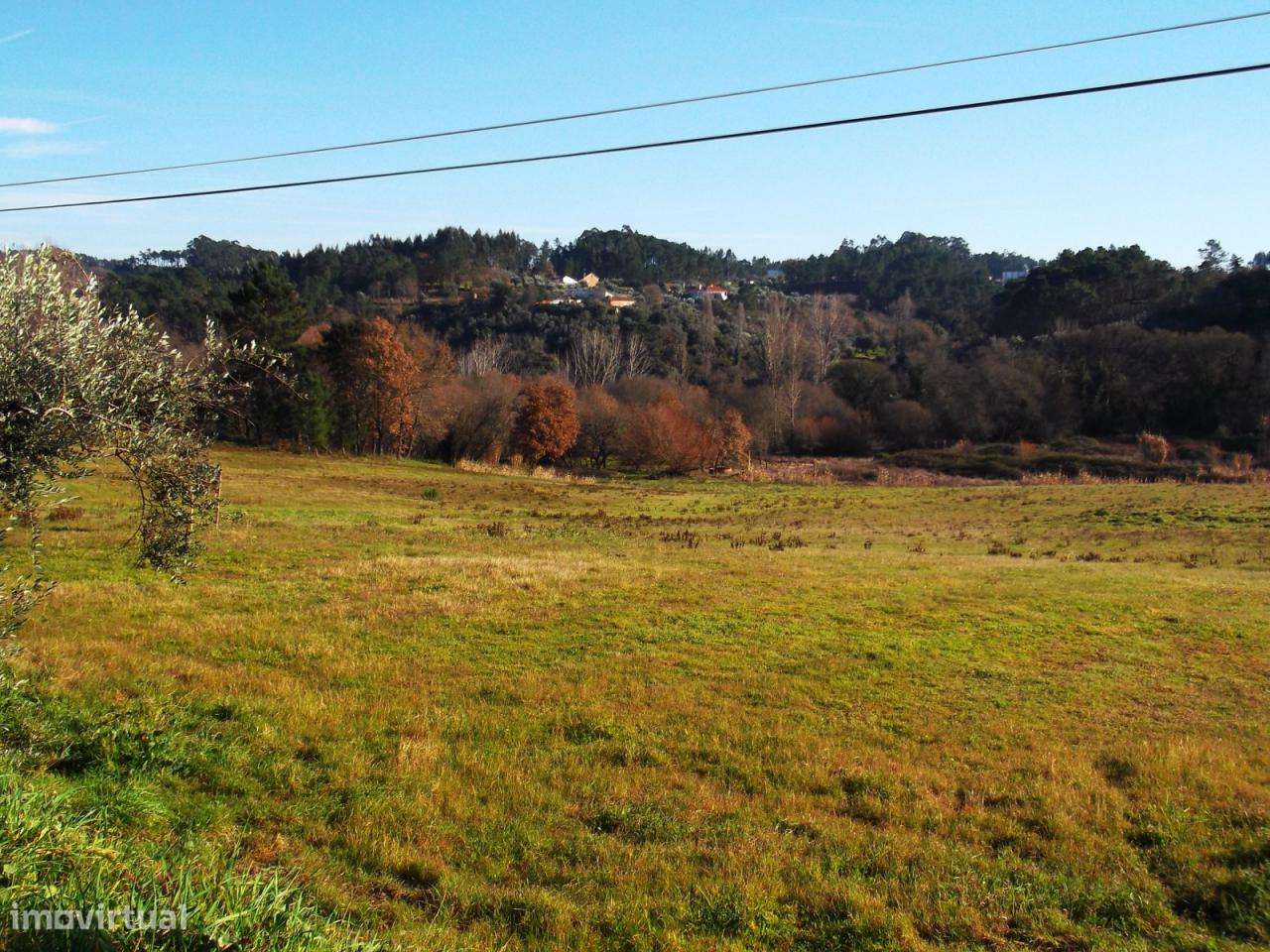 Excelente terreno Agrícola - Grande imagem: 3/3