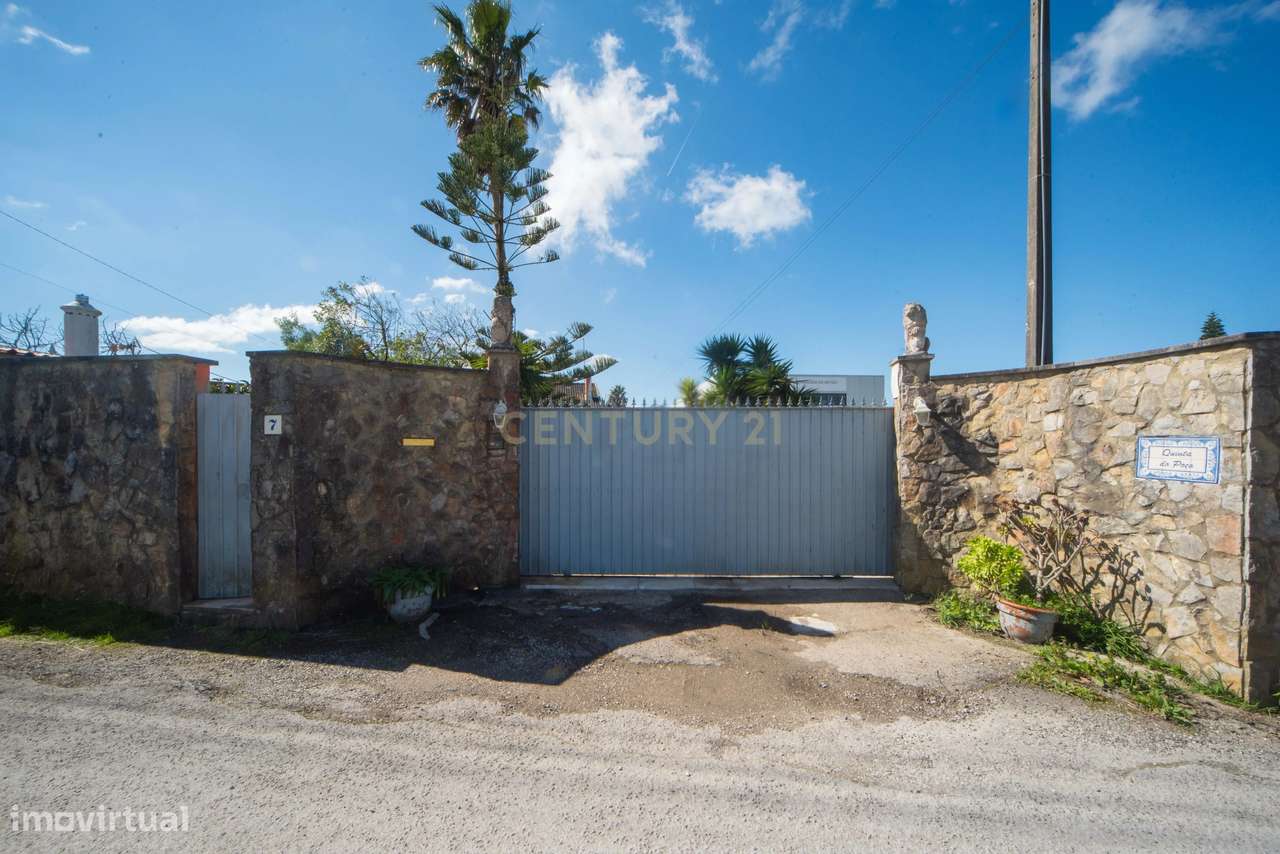 Quinta de Sonho em S. João das Lampas: Espaço, Autonomia e Conforto-13