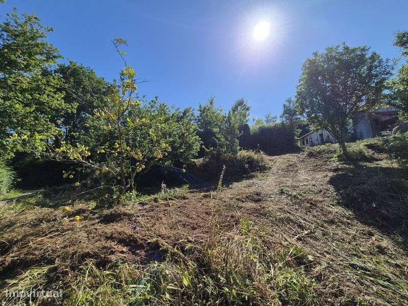 Moradia para restauro - Grande imagem: 4/8