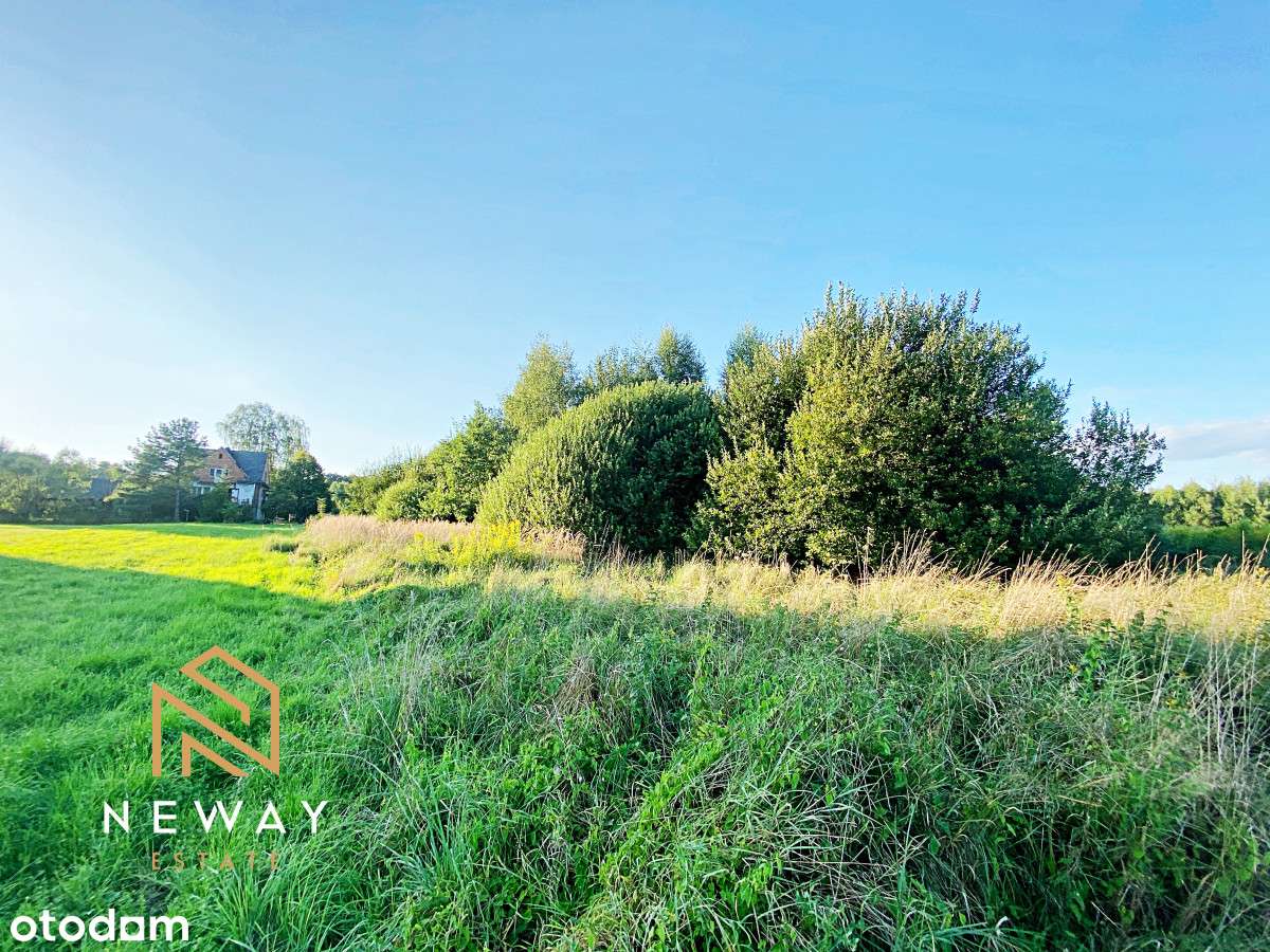 Działka z potencjałem w świetnej cenie - Pełny obrazek: 4/8