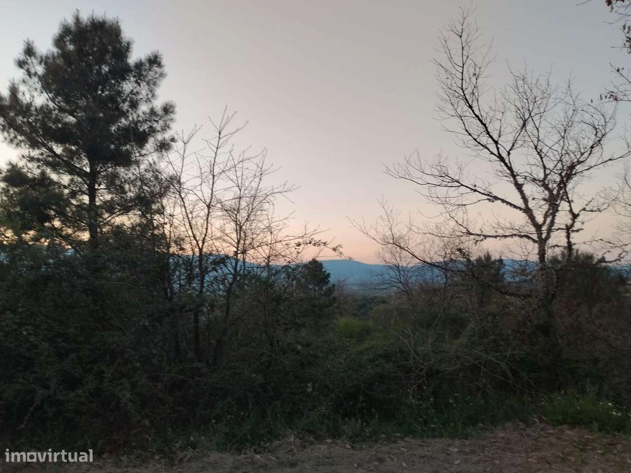 Terreno rustico em Dominga loba Peraboa-11