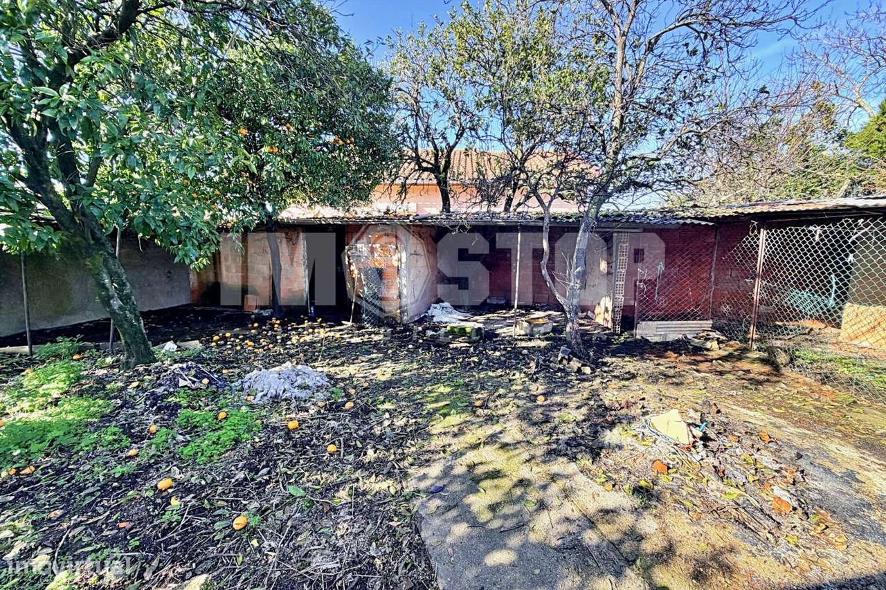 Moradia para Reabilitação em Pinheiro da Bemposta-13