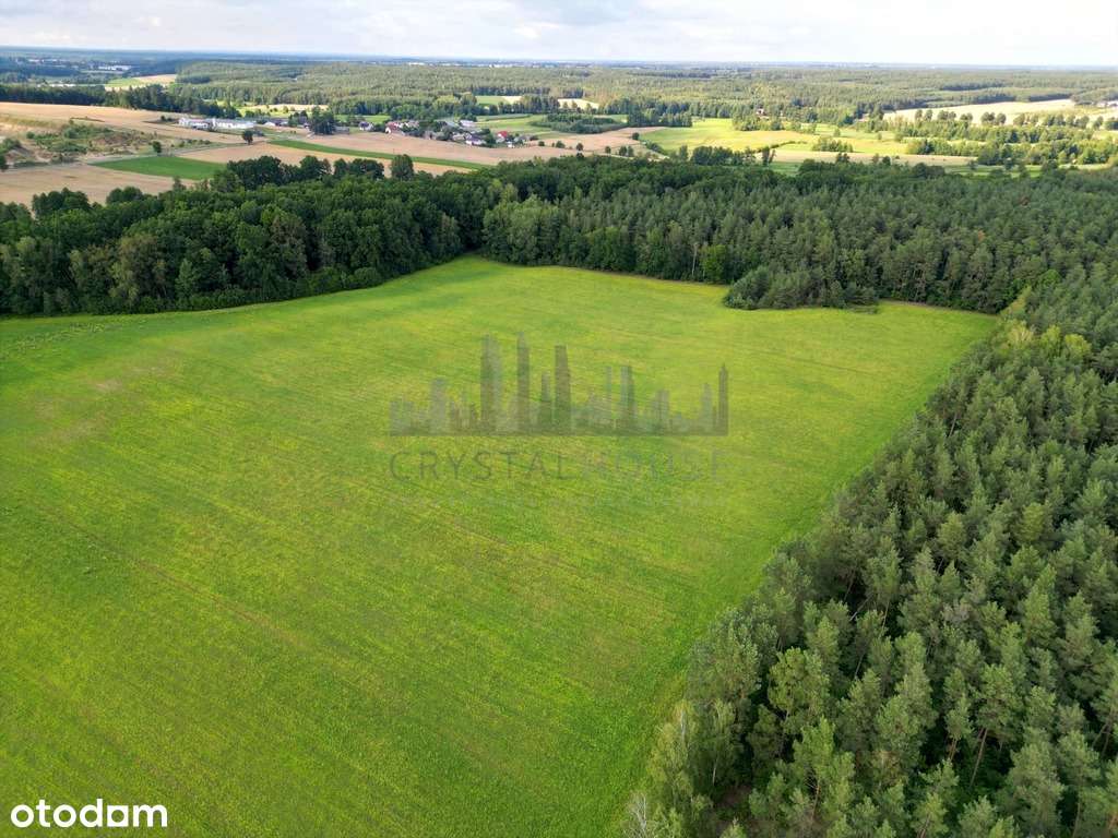 Nieruchomość rolniczo-inwestycyjna, o pow. 63ha - Pełny obrazek: 5/12