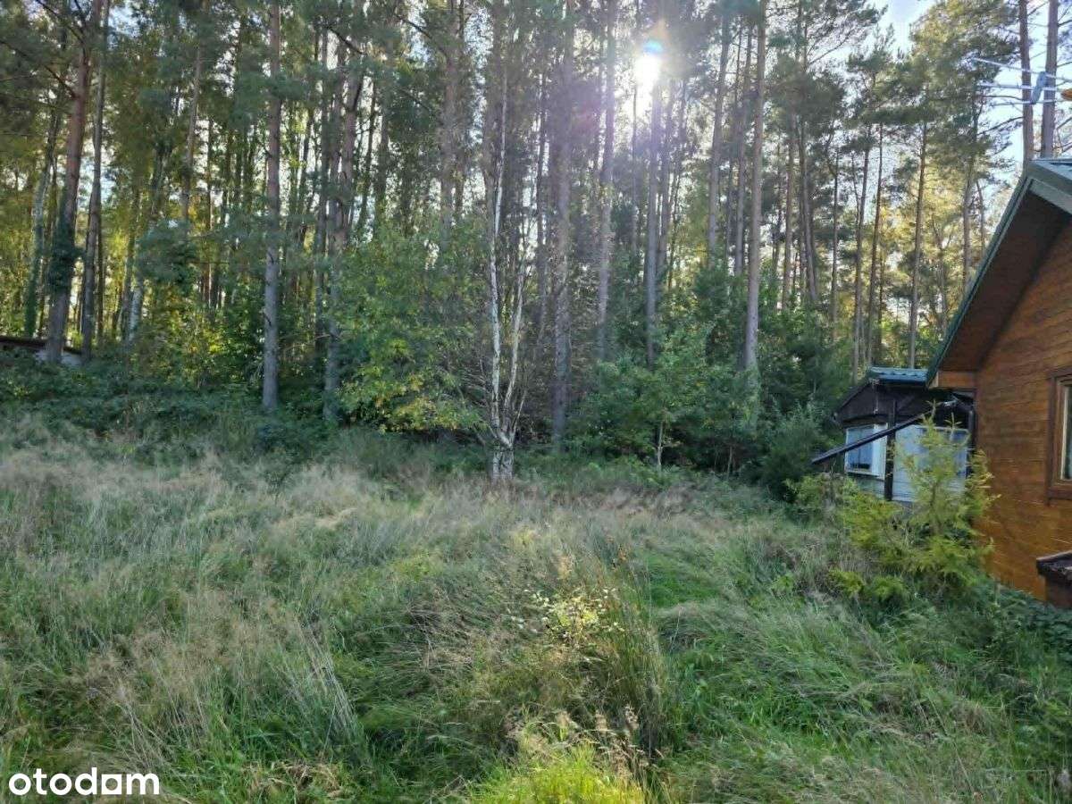 Magiczne Kopalino nad morzem-5