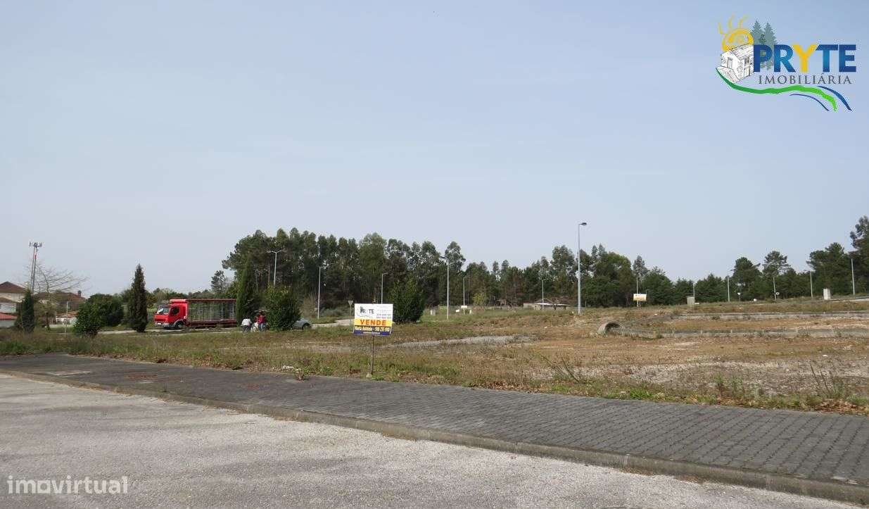 Lote para construção em urbanização no Alto Ventoso-Cernache Bonjardim - Grande imagem: 3/5