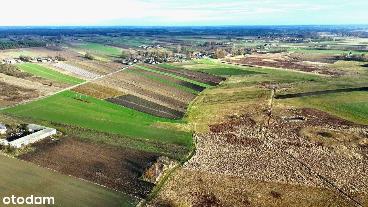 Działka rolna 1,86 ha w jednym kawałku z możliwością wykopania stawu - Pełny obrazek: 4/11