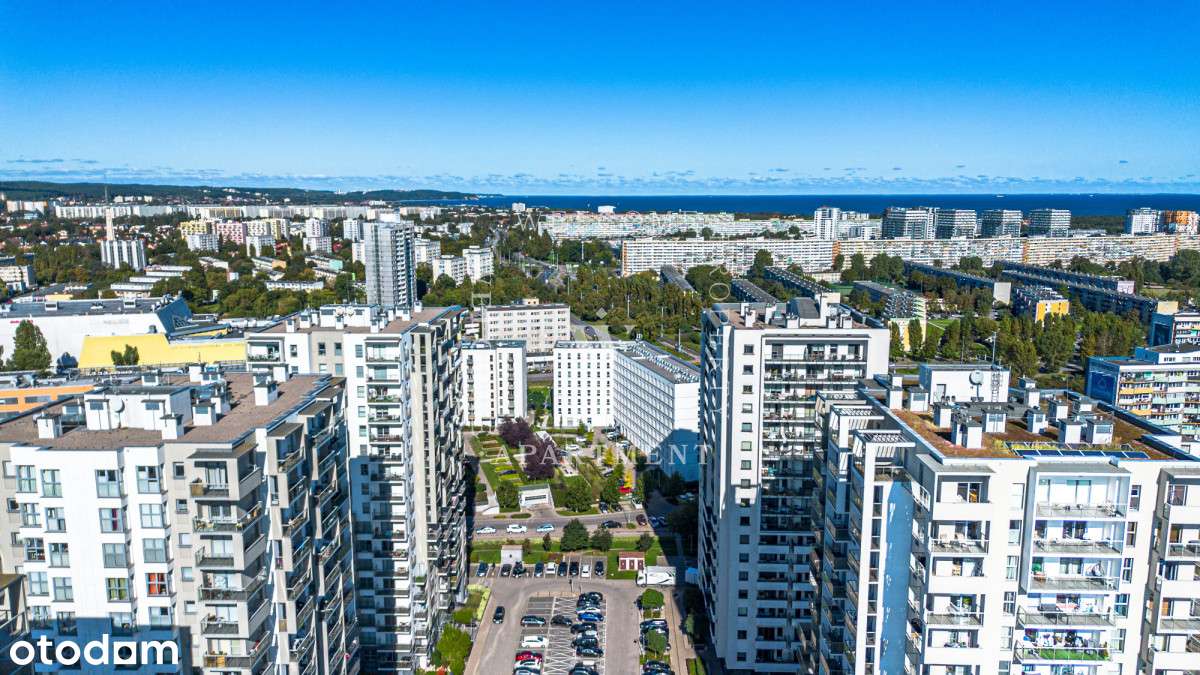 Albatross | Zysk i Ogród!-9