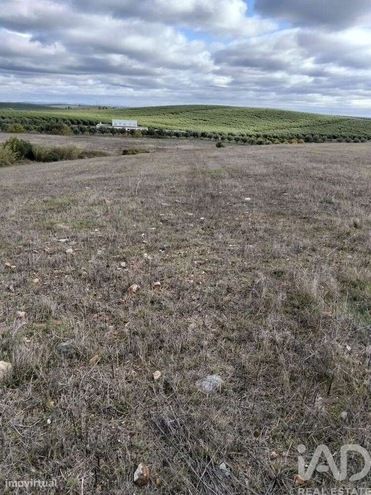 Terreno Agrícola em Baleizão - Grande imagem: 2/3