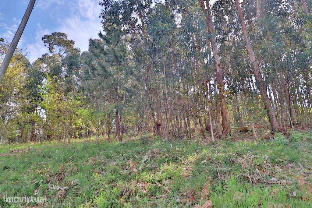 Terreno em Fraião com viabilidade de construção - Grande imagem: 4/23