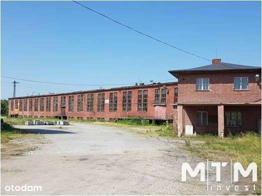 Działka, 20 145 m², Strzegom-7