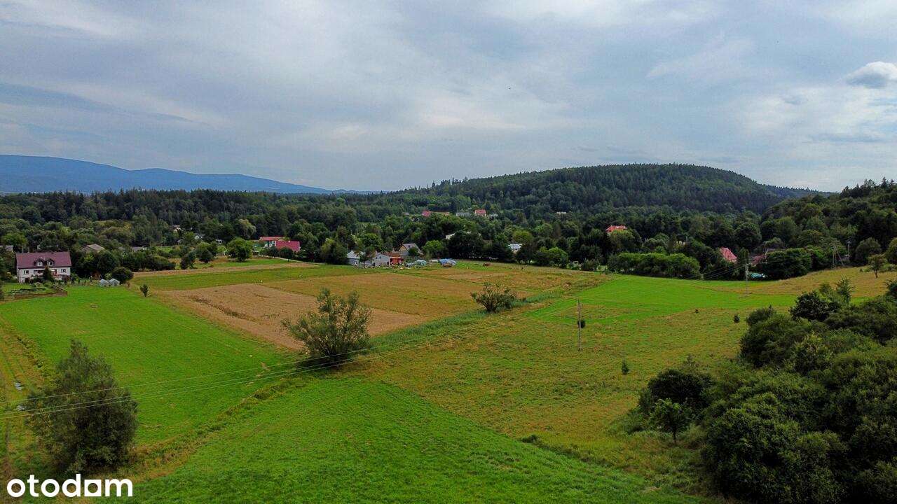 Działki budowlane w Kotlinie Kłodzkiej - Pełny obrazek: 4/5