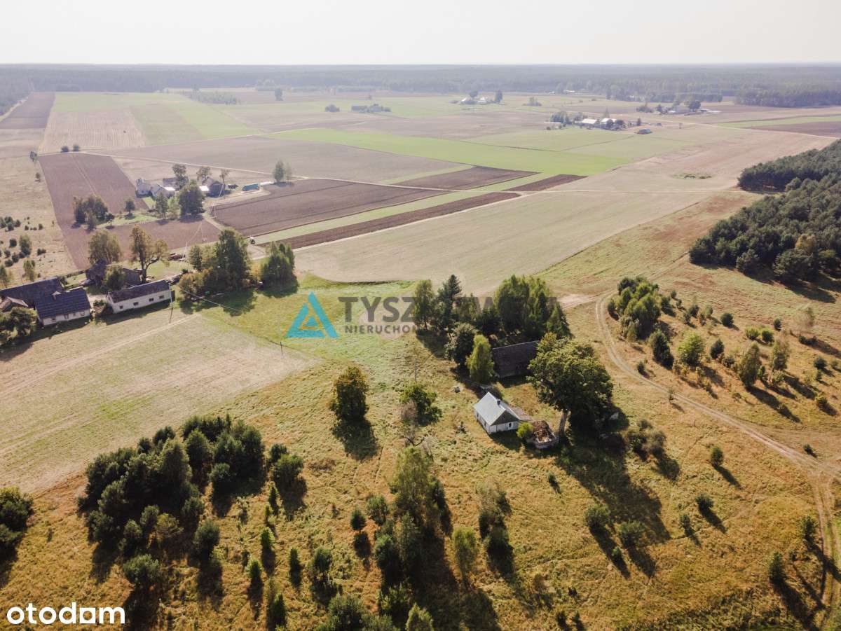 Działka z WZ Chwarzno Bory Tucholskie - Pełny obrazek: 5/17