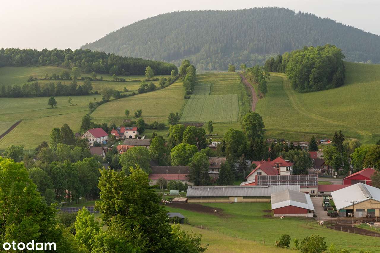 Dom na sprzedaż, 420 m², Miszkowice