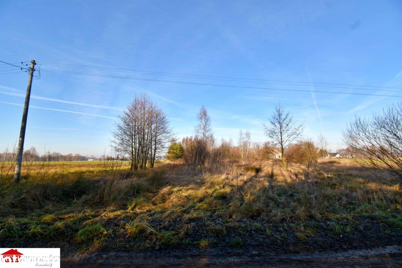 Budowlana k/Tłuszcza -Sulejów - Pełny obrazek: 5/6