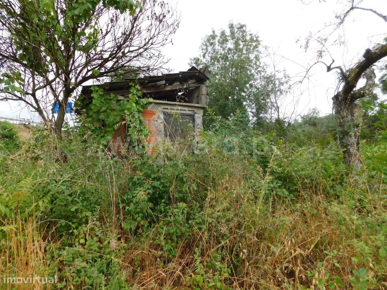 Terreno / Fundão, Soalheira - Grande imagem: 3/5