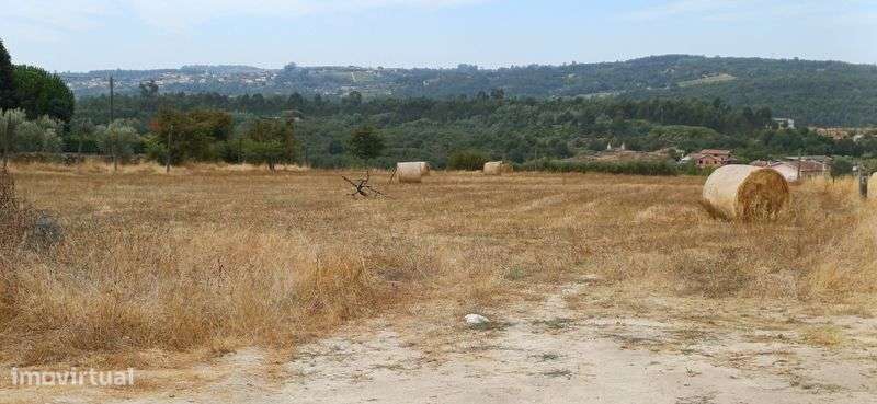Terreno rústico para lotear - Grande imagem: 4/11