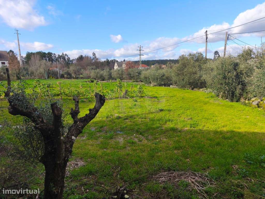 Moradia acolhedora, em aldeia tranquila e pronta a habitar-27