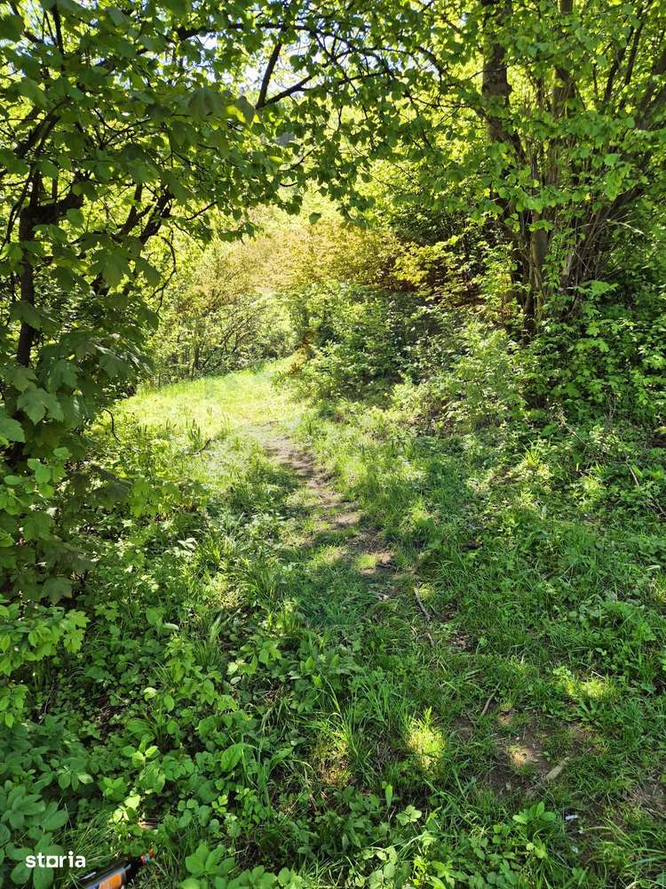 Teren intravilan 1,577mp Brasov / Schei/  constructii fara fundatie! - Imagine principală: 5/15