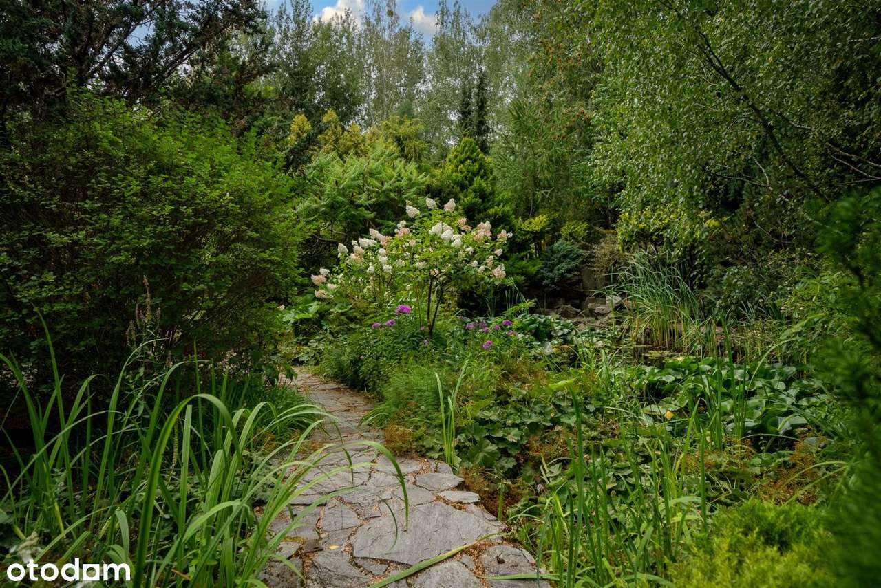 unikatowy ogród | otoczenie lasu | podkowa leśna-6
