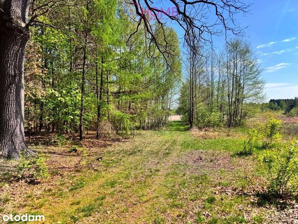 Dom na sprzedaż - Majdan Królewski 2,12ha działki-12