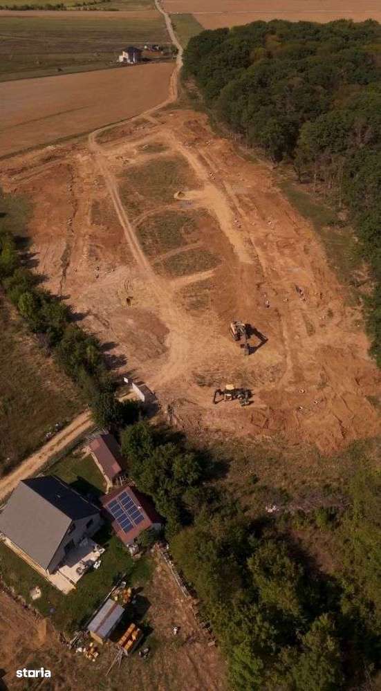 Lot de teren, padurea Snagov - Ciolpani - mega reduceri de pret!-11