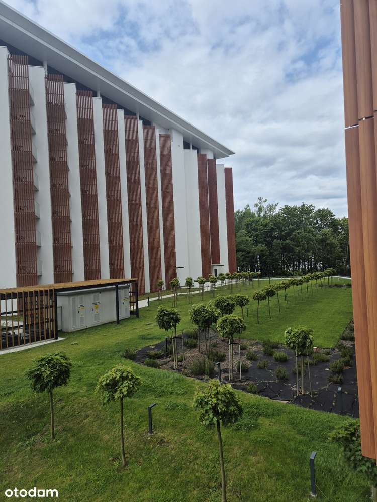 Apartament Pinea w pierwszej linii, przy plaży, 59 m2-0