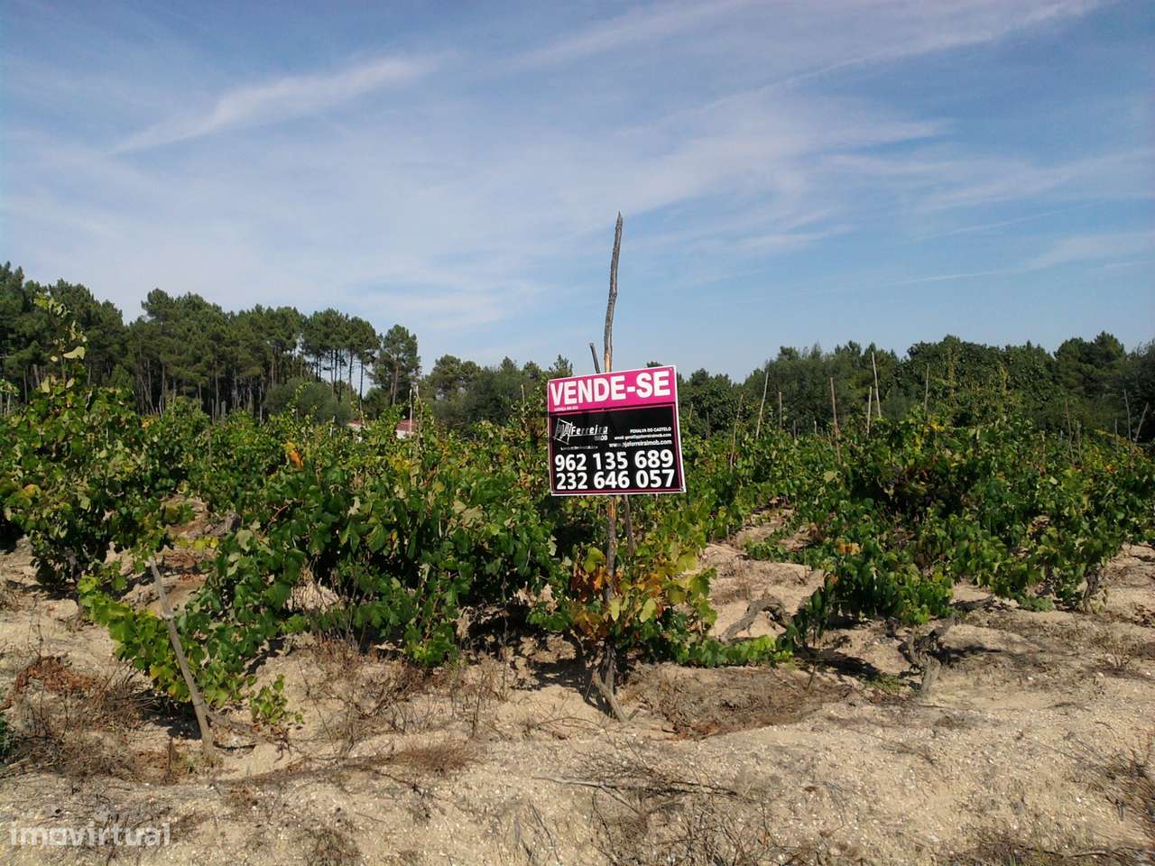 Terreno para construção em Campina, Penalva do Castelo - Grande imagem: 5/5