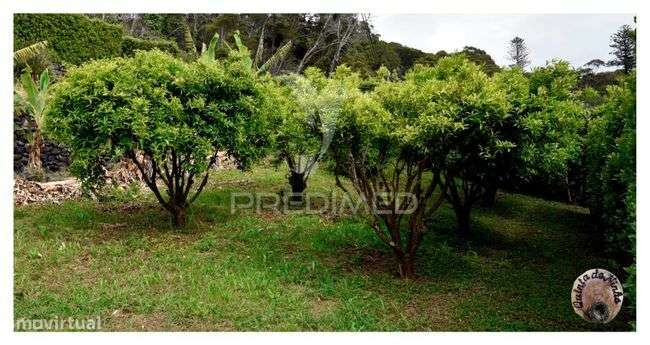 Quinta no lugar dos terreiros legalizada em A.L. - Grande imagem: 5/14
