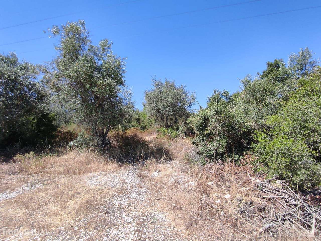Terreno Rústico em Vale de Pêgas - Vila Viçosa - Grande imagem: 4/5