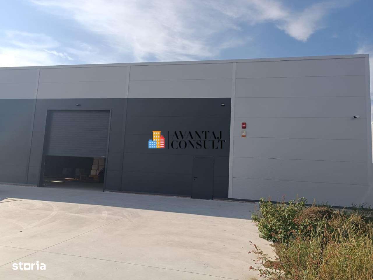 Hala 600 mp Pantelimon-6