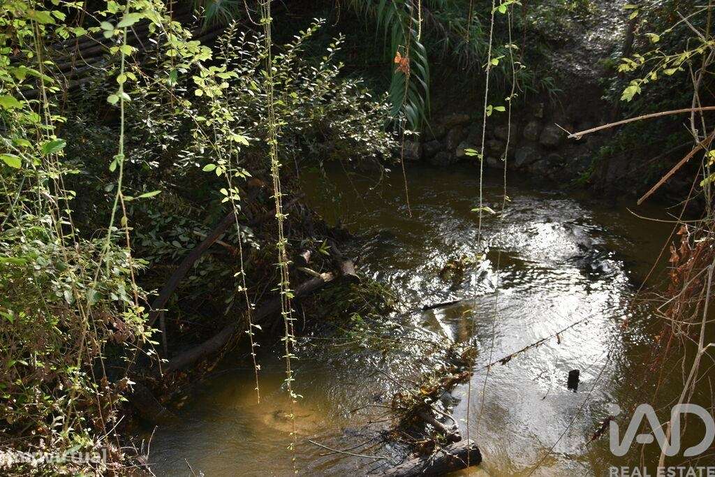Terreno Agrícola em Sabacheira - Grande imagem: 5/36