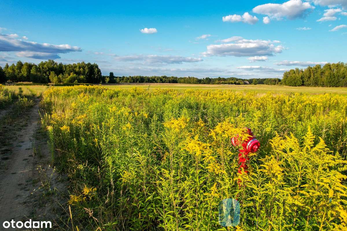 Działka Budowlana z Warunkami Zabudowy - Pilawa - Pełny obrazek: 5/9