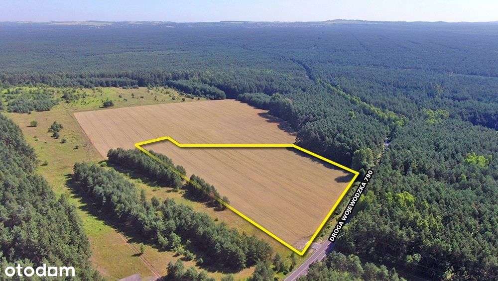 Działka inwestycyjna hotel,pensjonat 35zł/m2-5