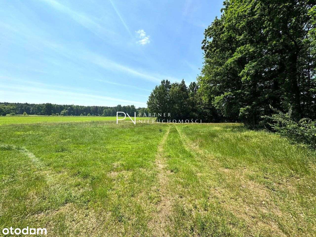 Urokliwa działka budowlana w Rudach - Pełny obrazek: 4/9