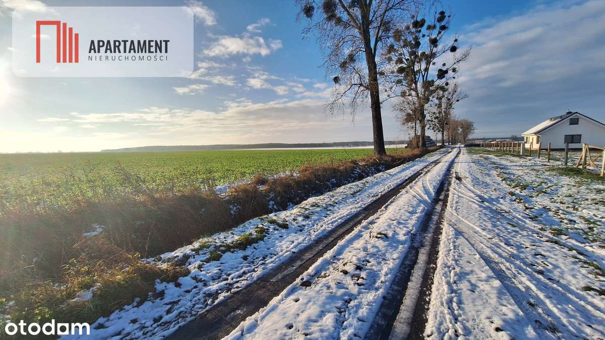 Kompleks 8 działek budowlanych + 110a ziemi - Pełny obrazek: 4/8