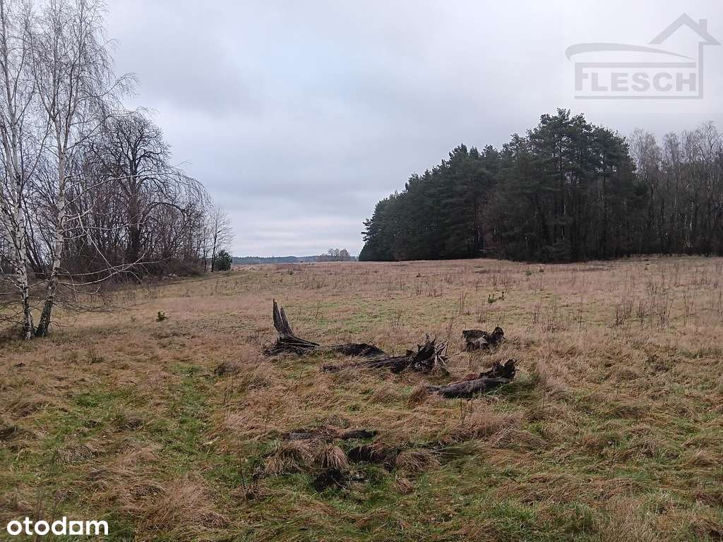 Bardzo ładna działka 12ha  Podlindowo Gm Mszczonów-7