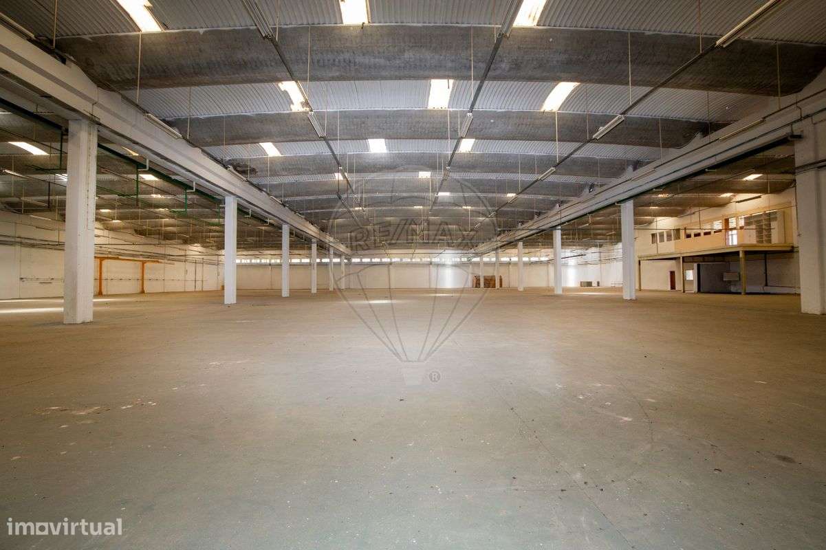 Armazém T0 para venda - Grande imagem: 5/11