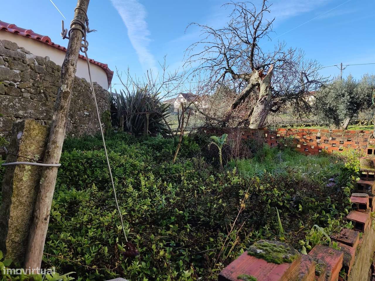 Moradia Devoluta T3 Venda em Sezures,Penalva do Castelo - Grande imagem: 5/5