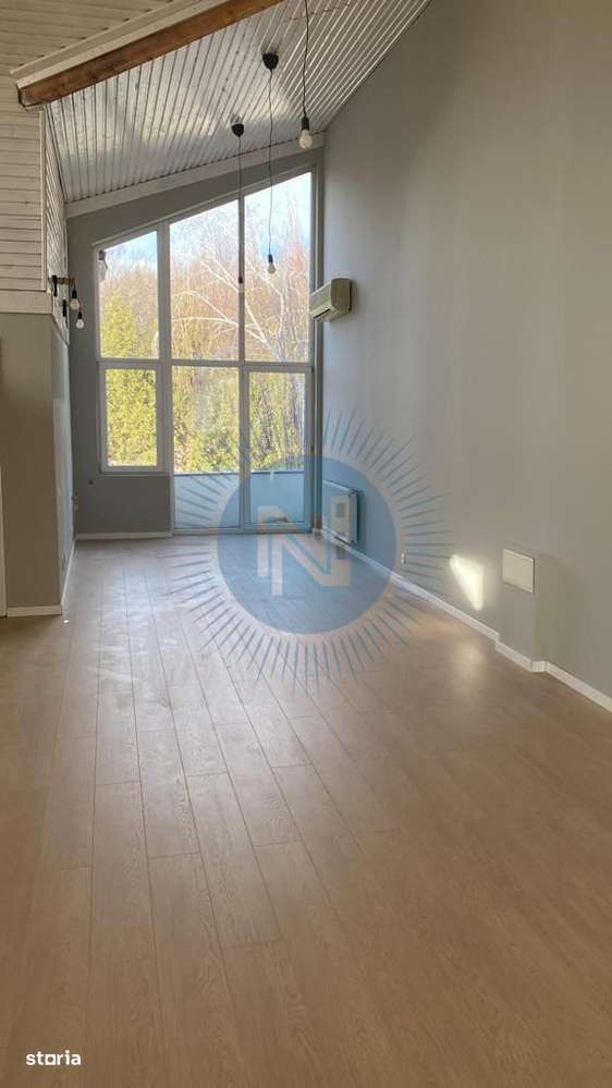 Vila Iancu Nicolae - Imagine principală: 5/20