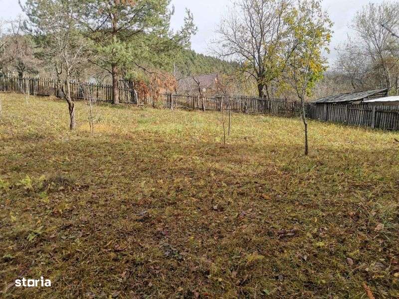 Teren de Vanzare 1000 m2 - Imagine principală: 4/6