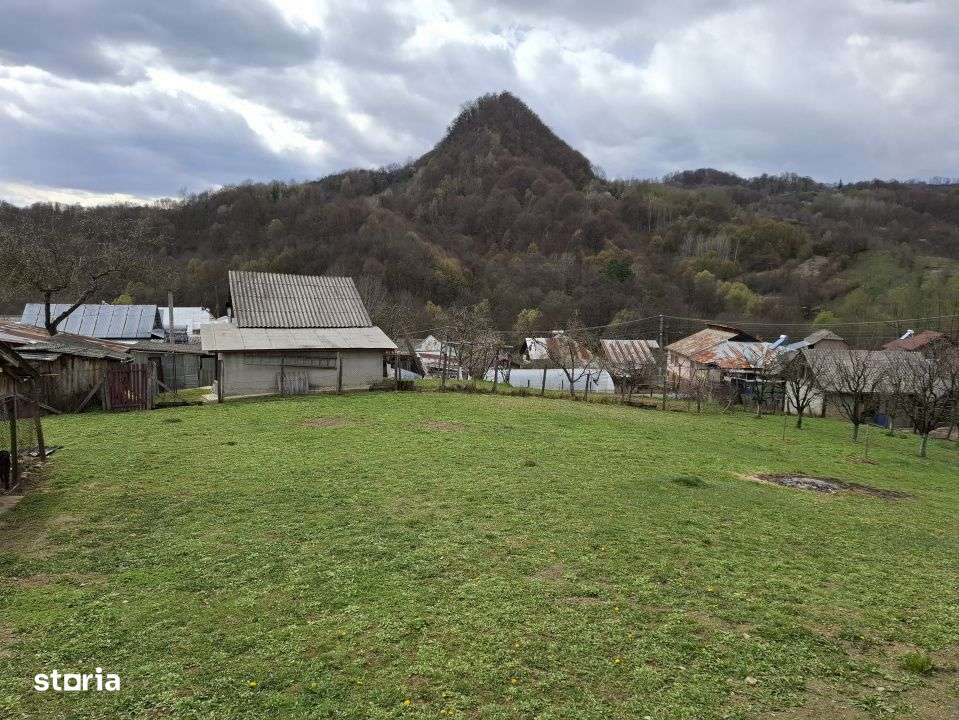 Vanzare casuta rustica in com. Barbuletu, jud. Damvovita-18
