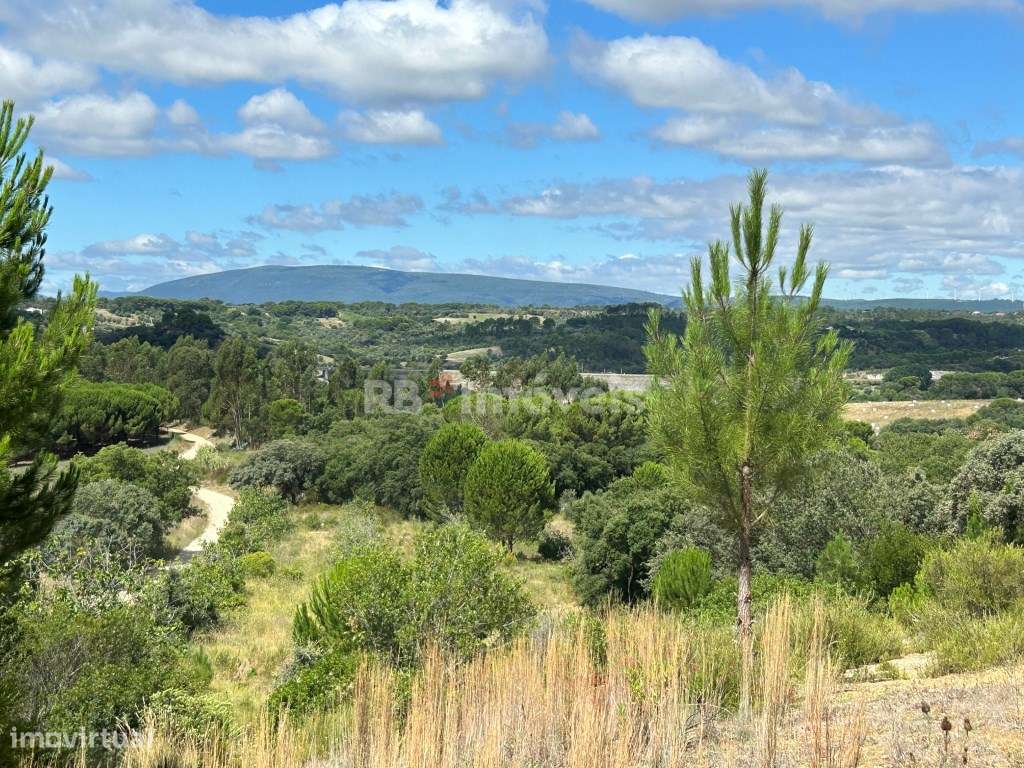 Terreno rústico com 7120m2 - Corujo, Tomar - Grande imagem: 3/43