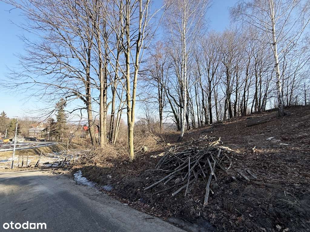 Działki w Przesiece-5